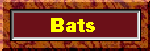 Bats